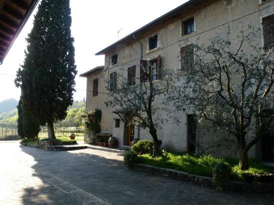 Azienda Agricola Vallonga